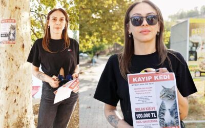 Kayıp kedi için 100 bin TL ödül