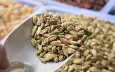 Kekin içine konulur, çayı yapılır! Bu baharat midenin doğal ilacı