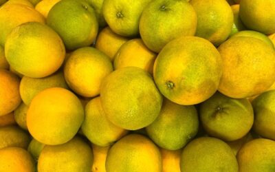 Kilolarca tüketiliyor çünkü… Mandalinanın faydaları neler?