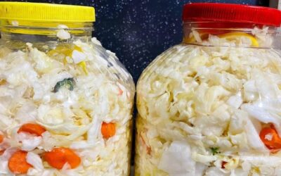 Kıtırlığın sırrı bu sirkede? Lahana turşusuna hangi sirke koyulur: Üzüm mü elma mı?