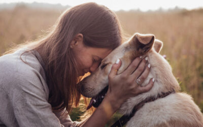 Köpeklerle vakit geçirmek kadınların yaşlanmasını yavaşlatıyor!