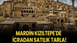 Mardin Kızıltepe'de 42.904,36 metrekare icradan satılık tarla!
