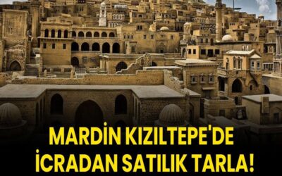 Mardin Kızıltepe'de 42.904,36 metrekare icradan satılık tarla!