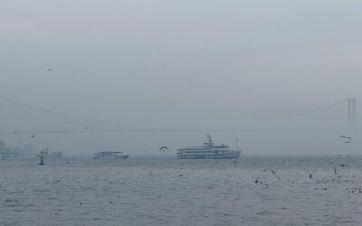 Megakenti sis esir aldı