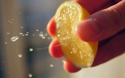 Meğer kolay yolu buymuş! Limonu böyle sıkın suyu bol bol aksın