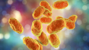 Hiç bilmeseniz de Dünya'nın en ölümcül virüsü o: Haemophilus influenzae tip B