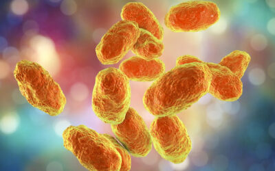 Hiç bilmeseniz de Dünya'nın en ölümcül virüsü o: Haemophilus influenzae tip B