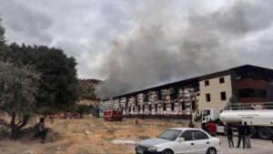 Mobilya fabrikası alevlere teslim oldu