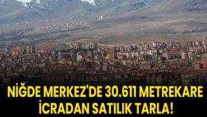Niğde Merkez'de 30.611 metrekare icradan satılık tarla!