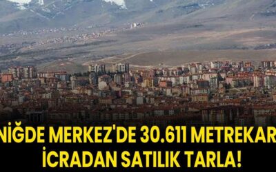 Niğde Merkez'de 30.611 metrekare icradan satılık tarla!