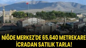 Niğde Merkez'de 65.640 metrekare icradan satılık tarla!