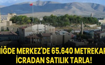 Niğde Merkez'de 65.640 metrekare icradan satılık tarla!