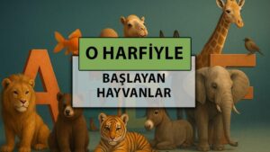 O harfi ile başlayan hayvan isimleri: O harfi ile başlayan hayvan isimleri nelerdir?