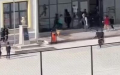 Okul bahçesine giren köpek çocuklara büyük panik yaşattı: O anlar kamerada