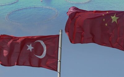 Rüzgar tersine döndü! Çin artık Türkiye'den satın alacak