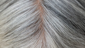 Beyazlayan saçların gizemi: Kanser savunması mı, yaşlanma mı?