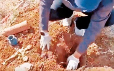 Sahte defineyle milyonluk oyun