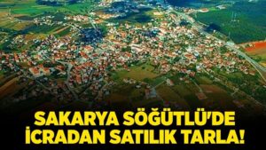 Sakarya Söğütlü'de icradan satılık tarla!