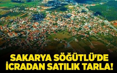 Sakarya Söğütlü'de icradan satılık tarla!