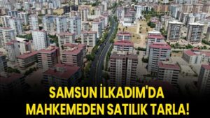 Samsun İlkadım'da mahkemeden satılık tarla!