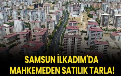 Samsun İlkadım'da mahkemeden satılık tarla!