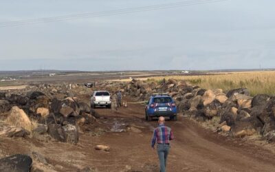 Şanlıurfa'da bulunan patlamamış top mermisi imha edildi