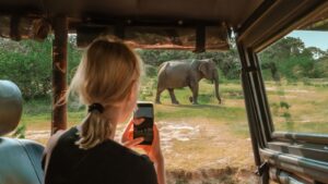 Seyahat için en iyi beş yaban hayatı safarisi