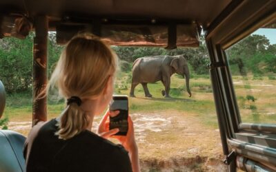 Seyahat için en iyi beş yaban hayatı safarisi