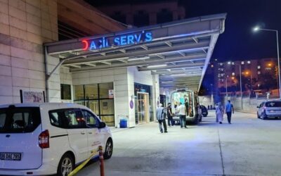 Siirt'te freni boşalan kamyon yoldan çıktı: 5 yaralı