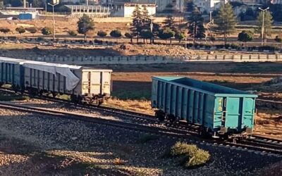 Siirt'te yük treninin vagonu raydan çıktı