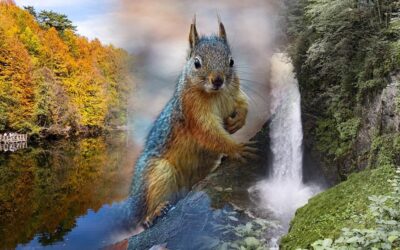 Sonbaharın en güzel hali: Yaprak dökümü gezi rotaları