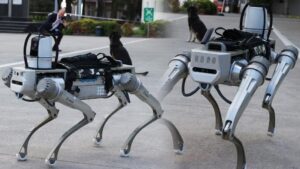 Sonraki hedef insansız robotlar! Milli rakip Robot köpek göreve hazır