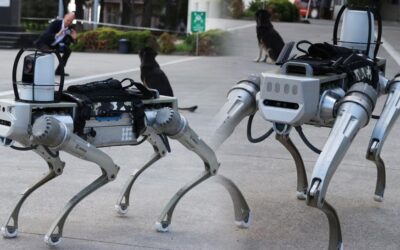 Sonraki hedef insansız robotlar! Milli rakip Robot köpek göreve hazır