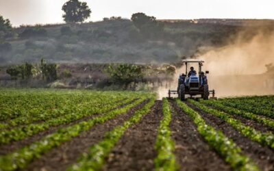 Tarım sigortası bulunmayan Çiftçi Kayıt Sistemi'ne kayıtlı üreticilere 707 milyon 112 bin lira aktarıldı