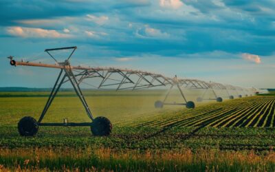Tarım-ÜFE'de yıllık artış hızı yavaşladı: Kasımda aylık bazda düşüş görüldü