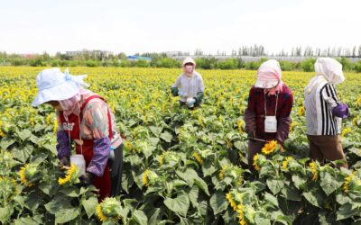 Tarım üretici fiyatları eylülde yükseldi