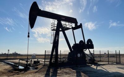 TPAO'dan 7 sahada petrol adımı… Başvuru yapıldı