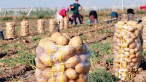 TZOB "25 lira" dedi, Bakanlık yalanladı