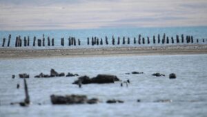 Van Gölü çekildi… Asırlık iskelenin ayakları ortaya çıktı