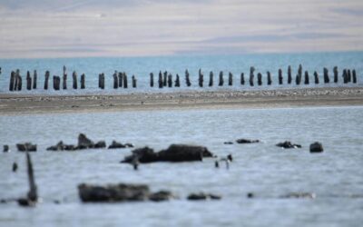 Van Gölü çekildi… Asırlık iskelenin ayakları ortaya çıktı