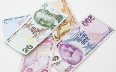 Yeni 20 TL banknotlar tedavüle girdi